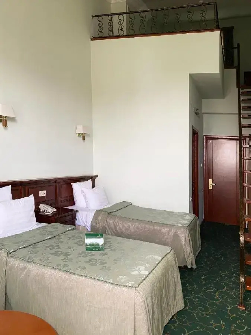 Отель Hotel Russia