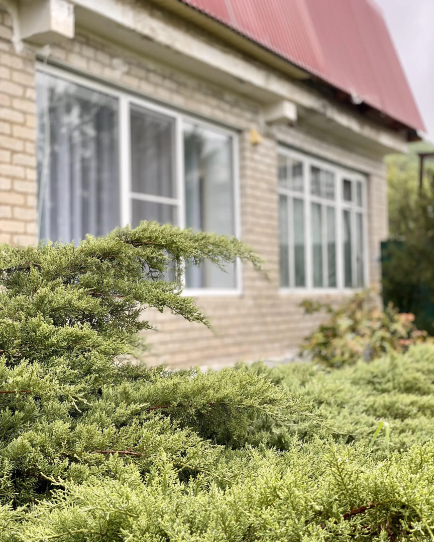 Апартаменты у горы Юца