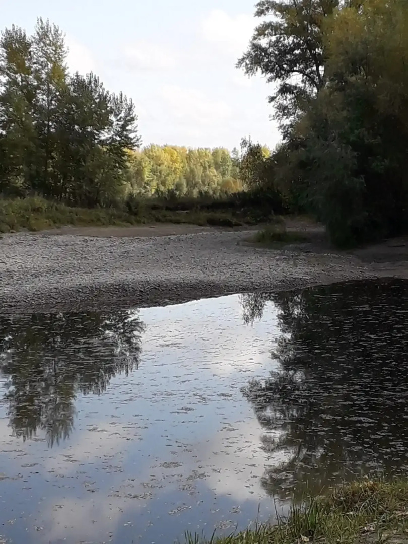 Гостевой дом ШульгинЛогово