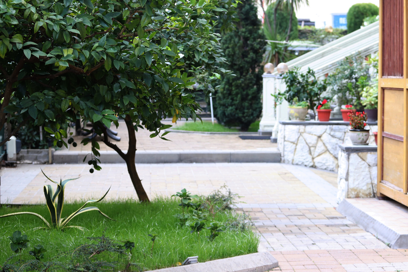 Отель Парадиз