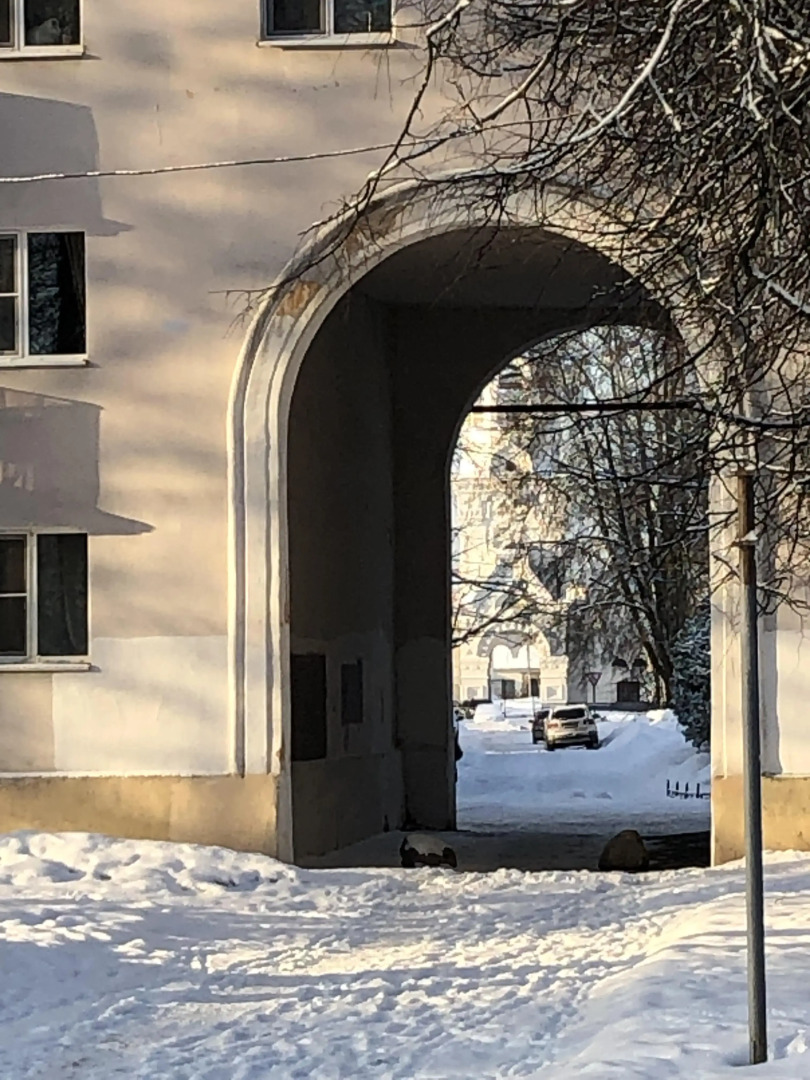 Квартира  Господин VN