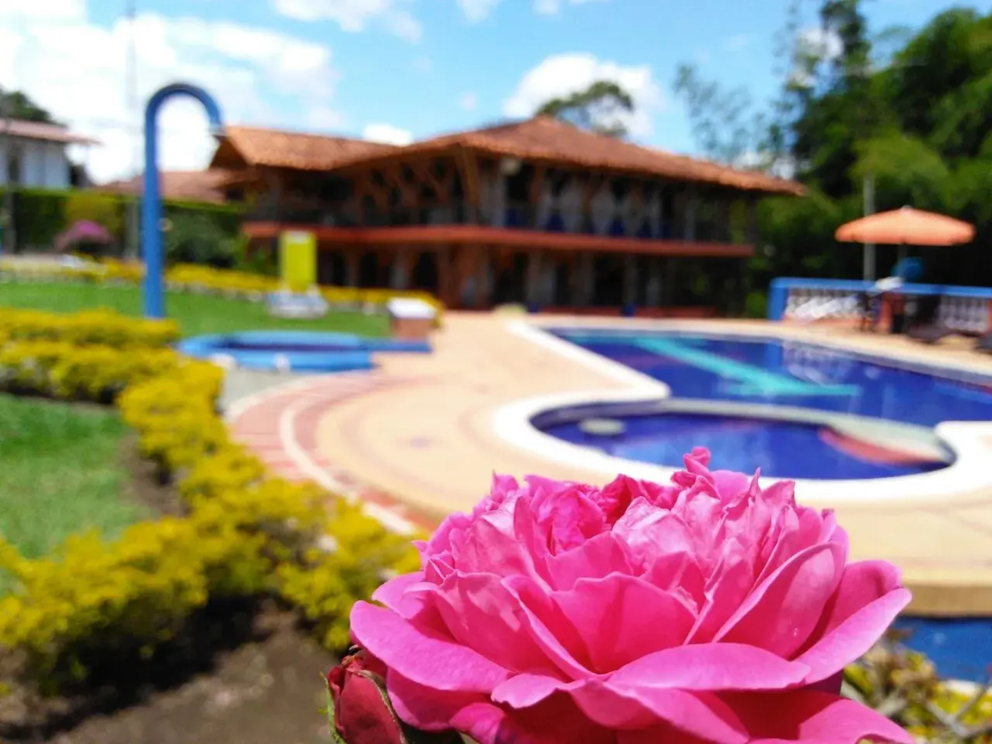 Отель Finca la Orquidea