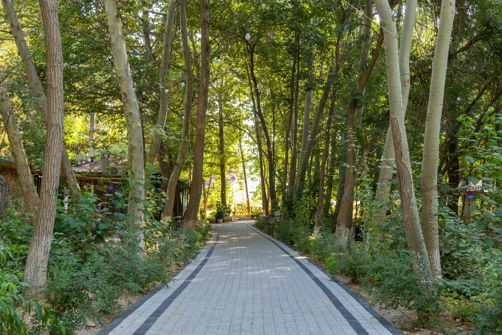 База отдыха Rano Eco Village