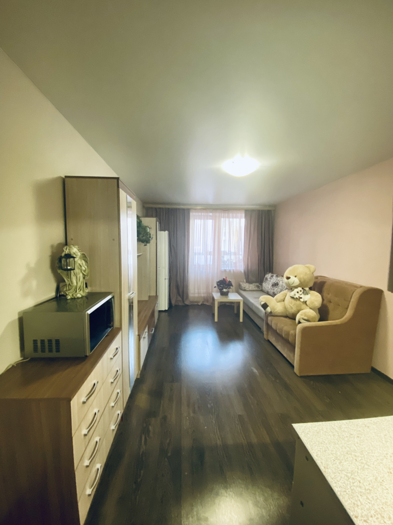 Апартаменты Уютная студия у метро Девяткино