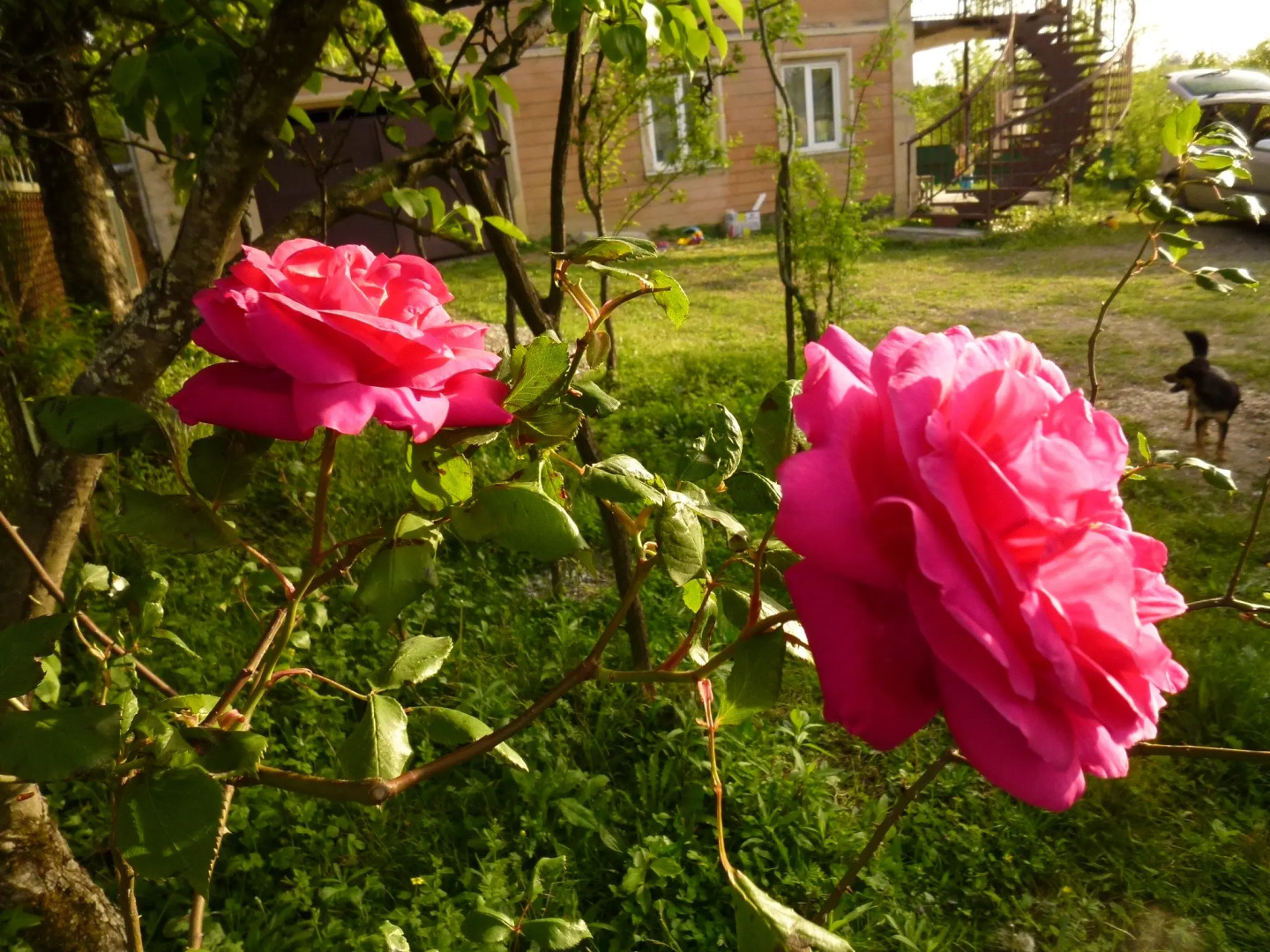 Гостевой Дом Country House Uliana