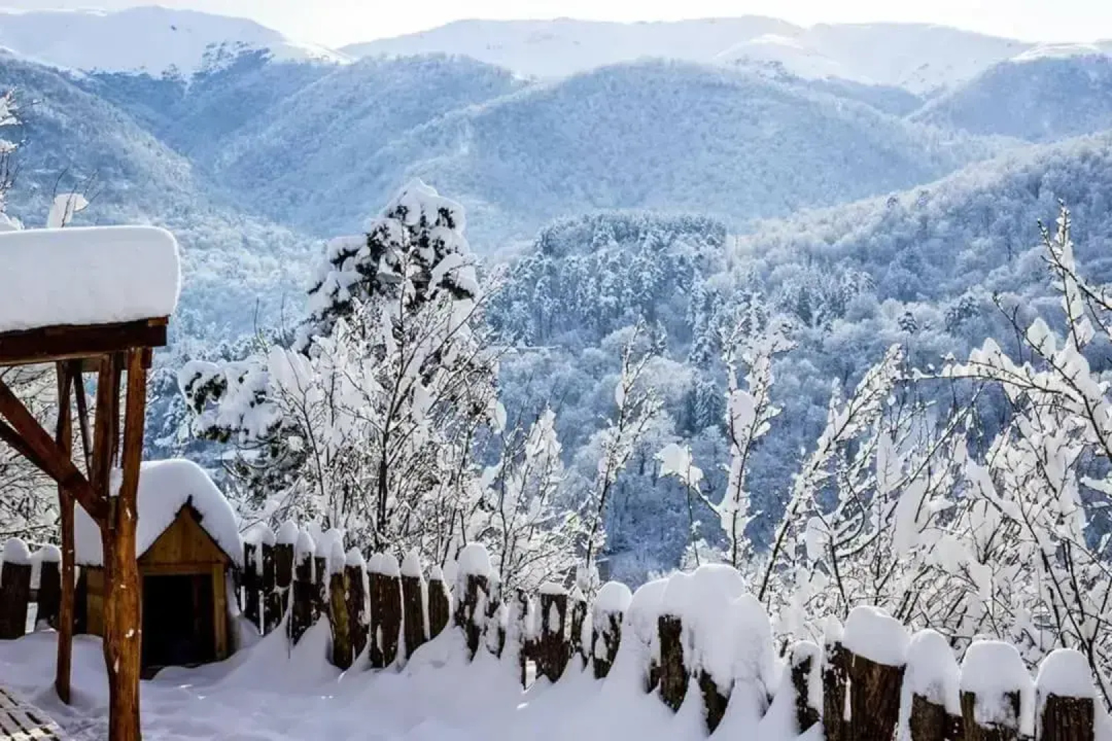 Гостевой дом Popock Dilijan