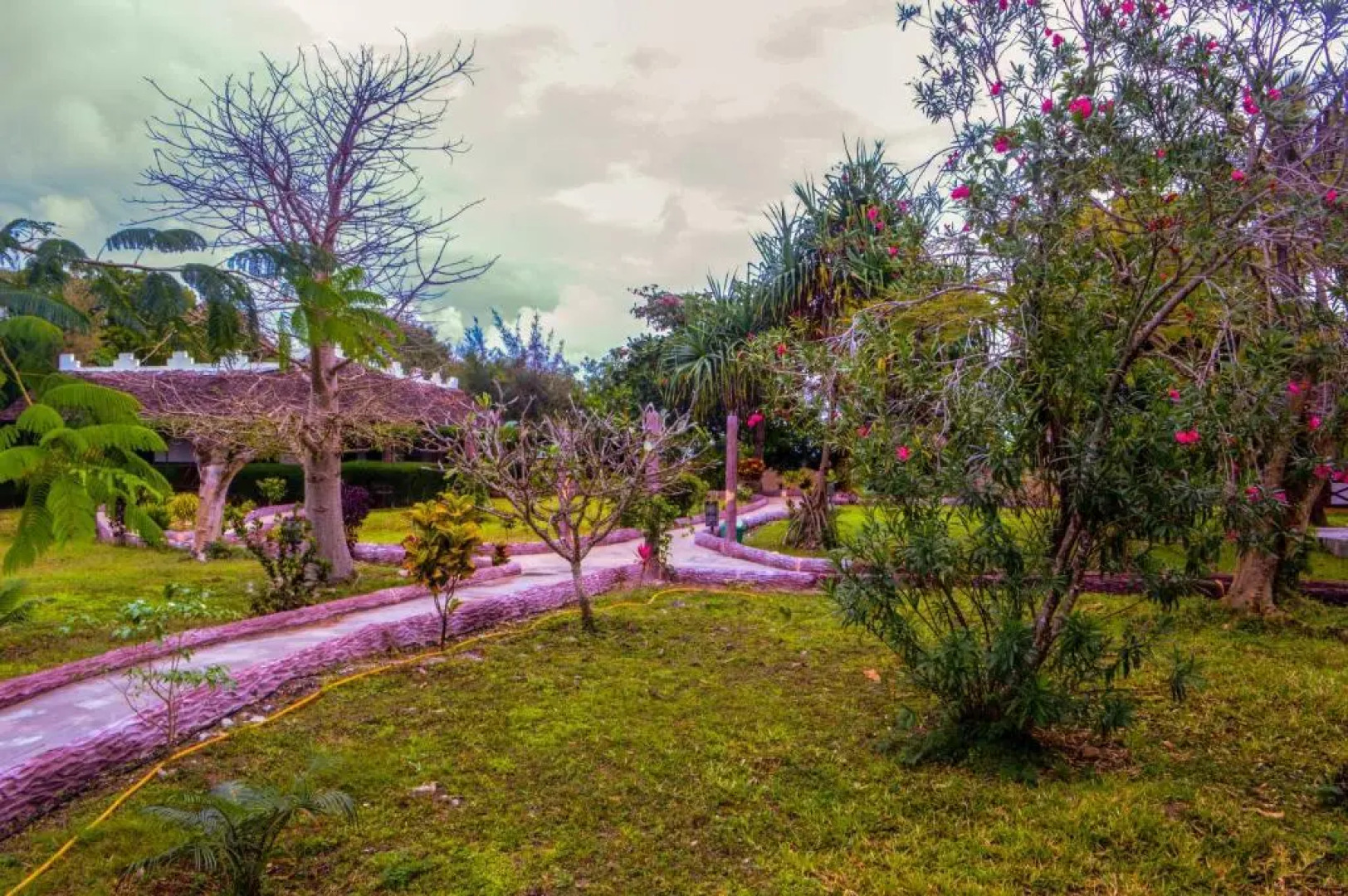 Бунгало Zanzi Rest