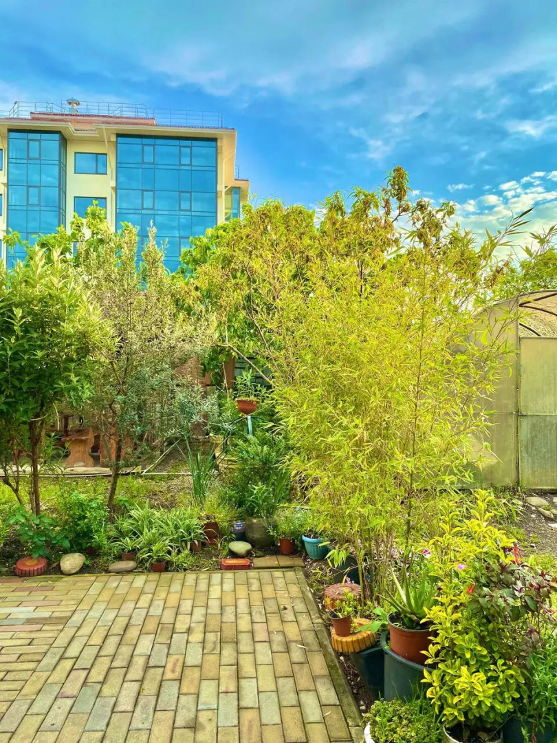 Мини-Отель Olympic House