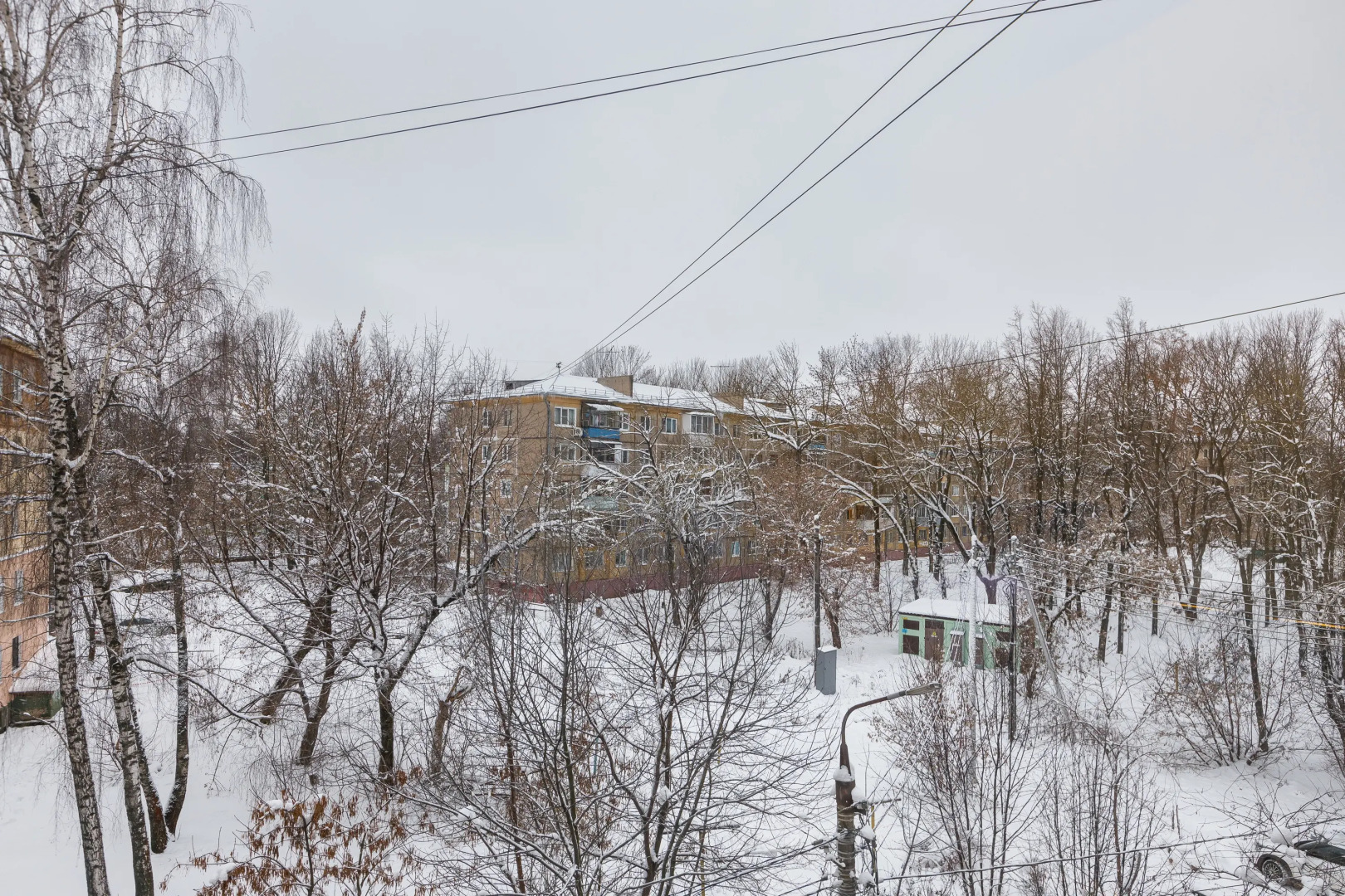 Квартира Толстой