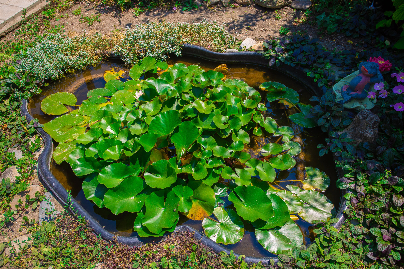 Гостевой дом на 40 лет Победы 92