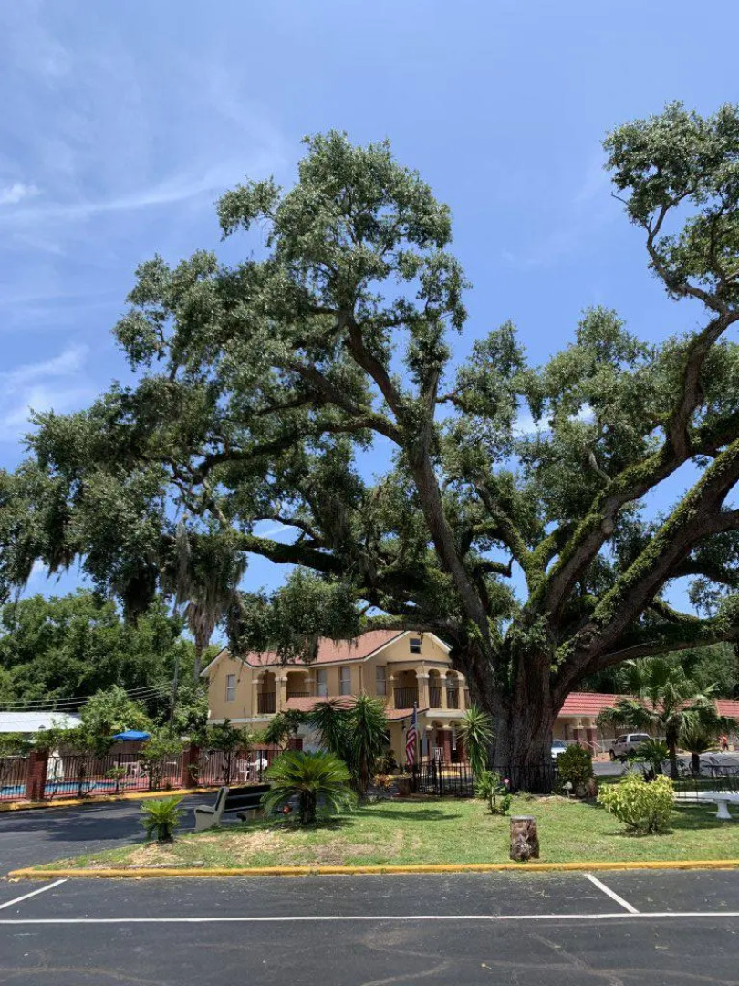 Отель Villa1565