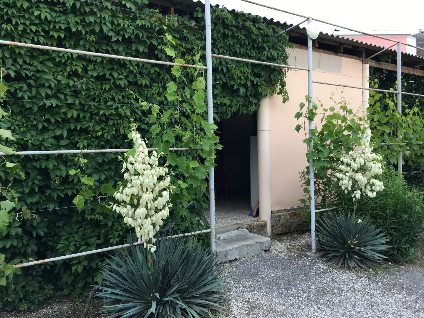 Частный дом Домик без докучливых хозяев