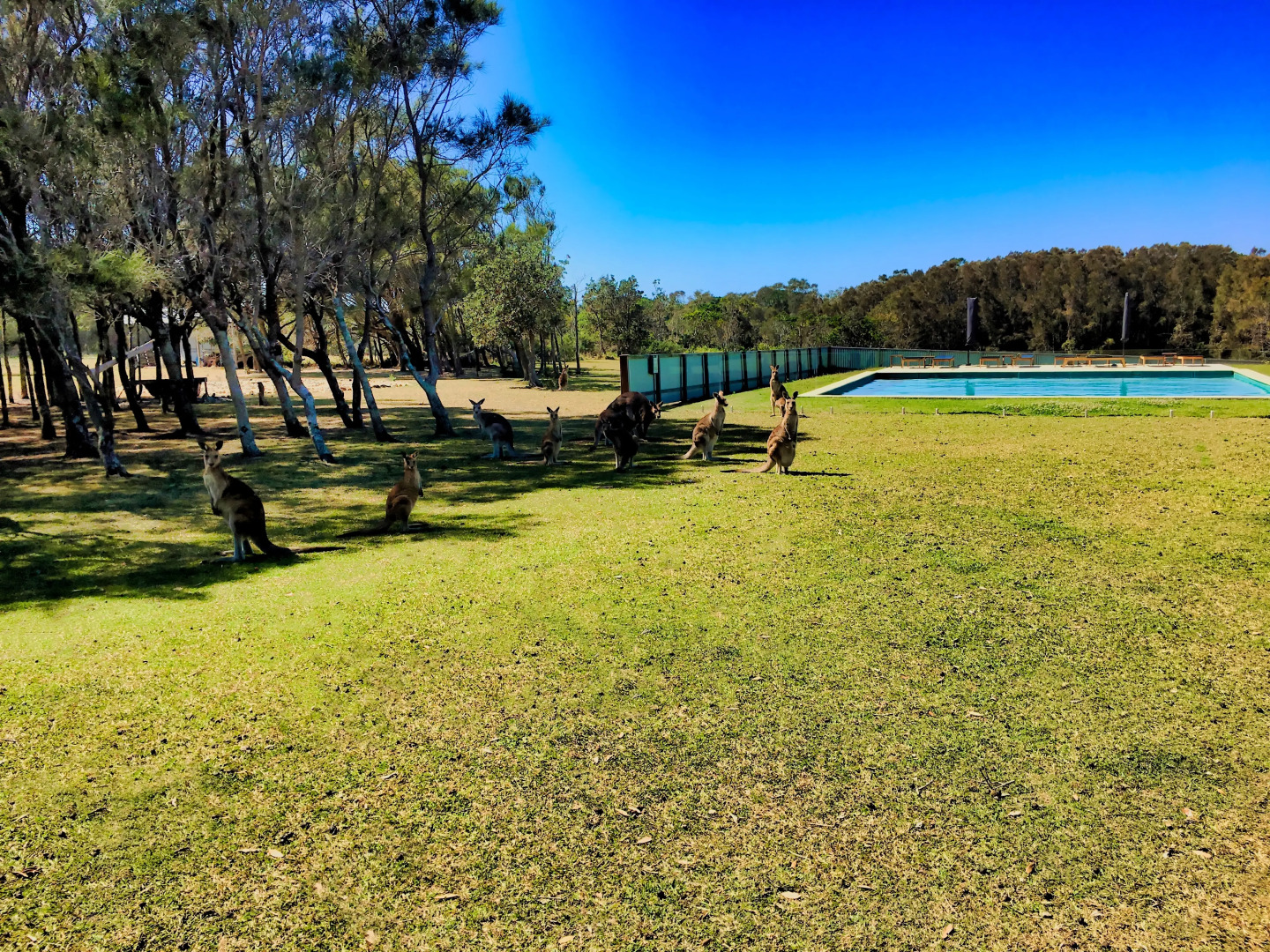 Гостевой дом Tranquilo Beach House