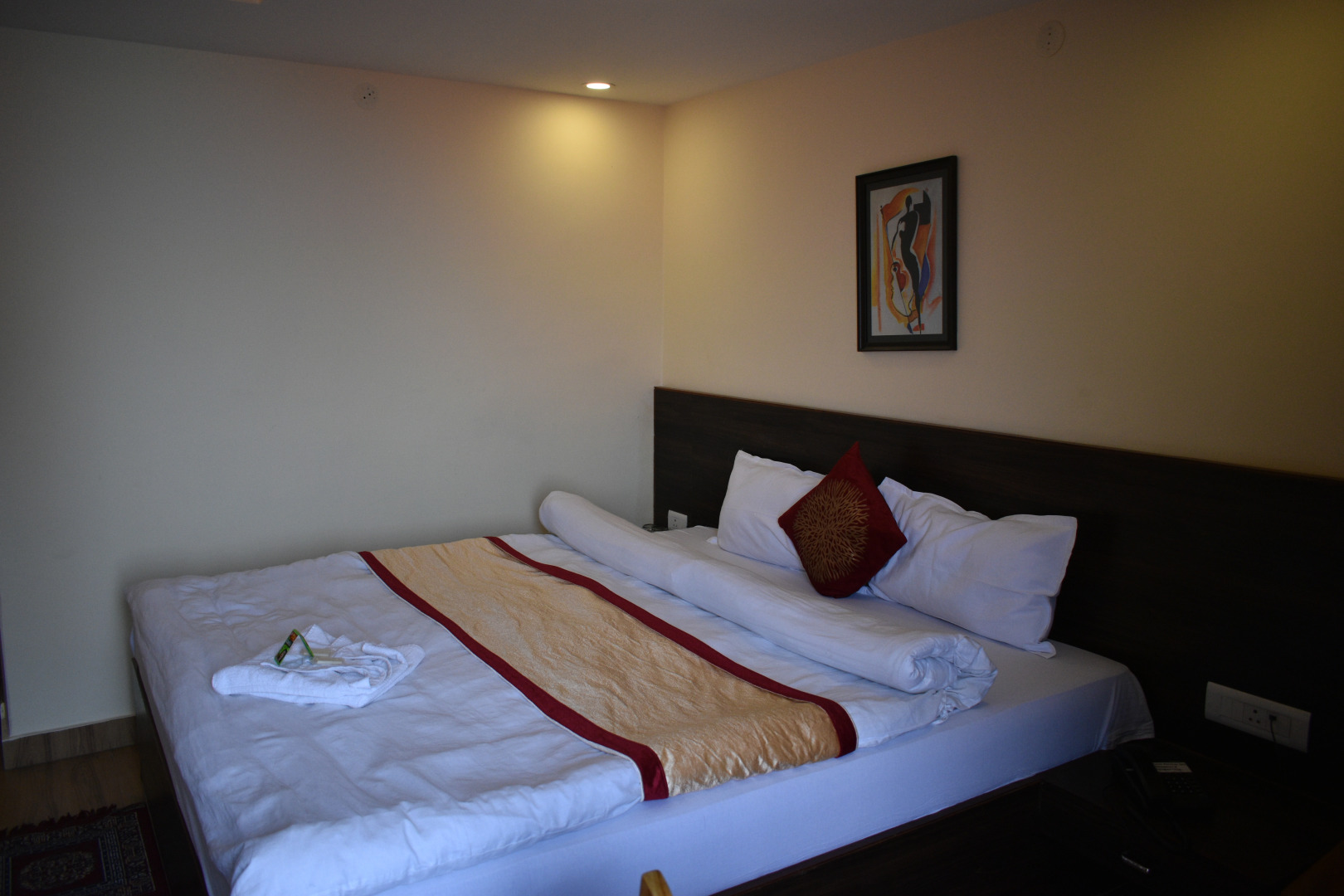 Отель The Narayani Continental