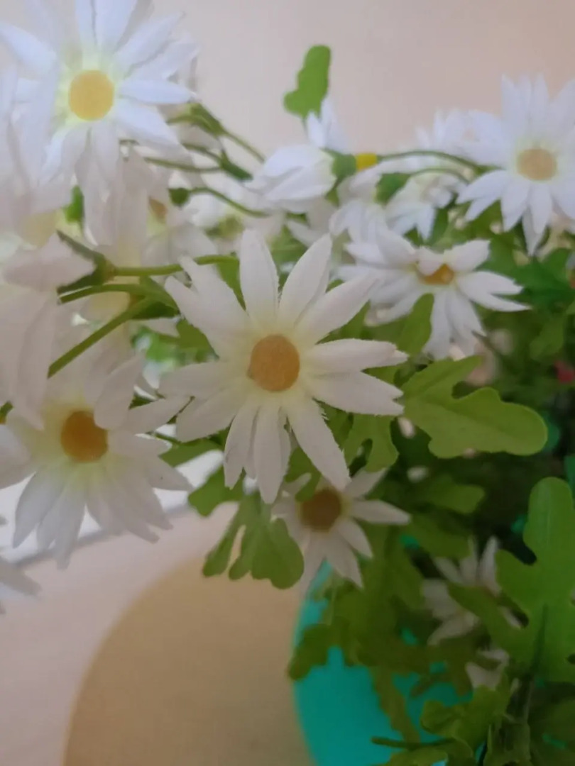 Апартаменты Аврора шестиместные (id 127)