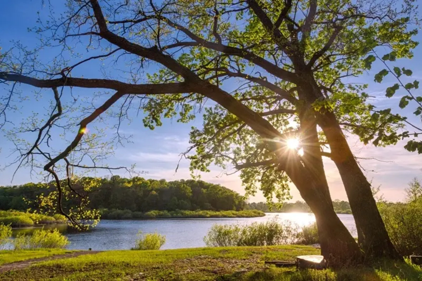 Гостинично-развлекательный комплекс Ранчо