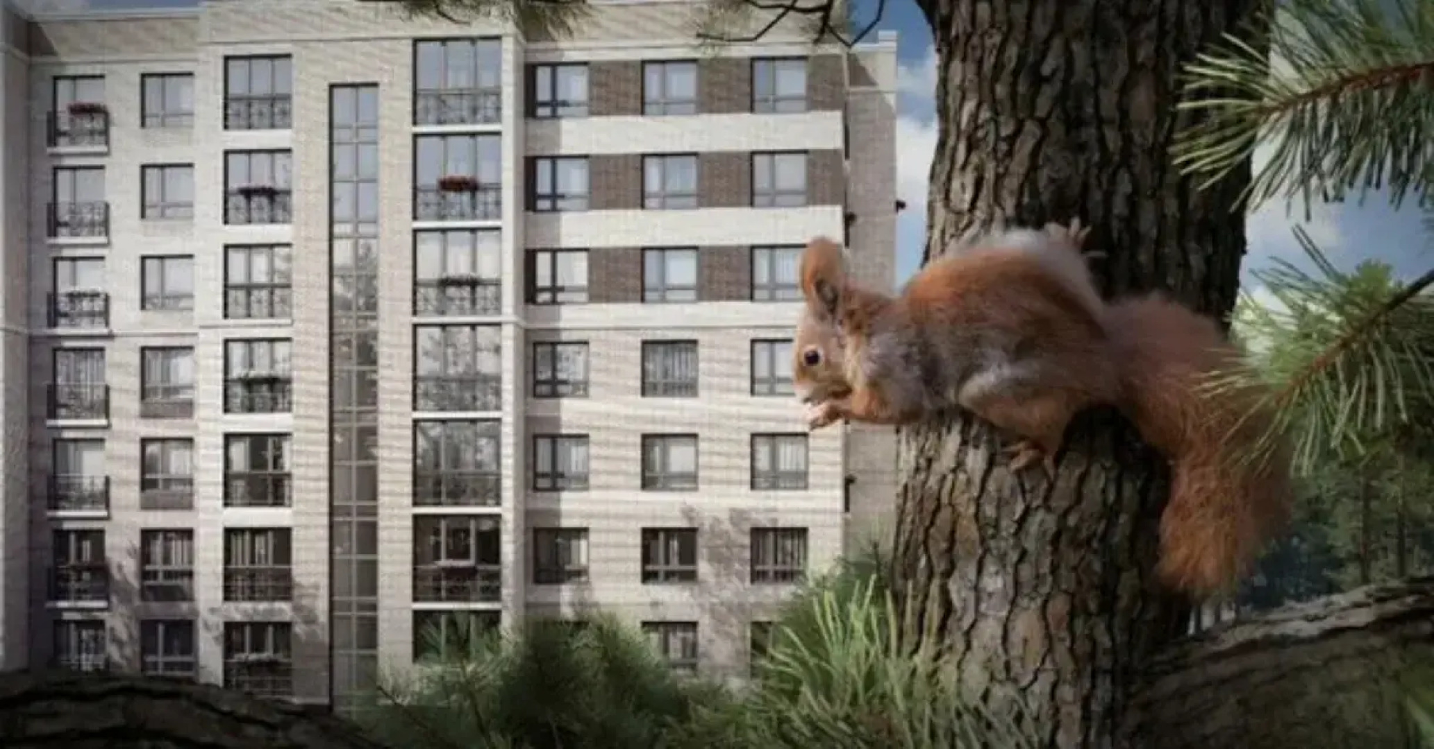 Квартира Уютно жить 1