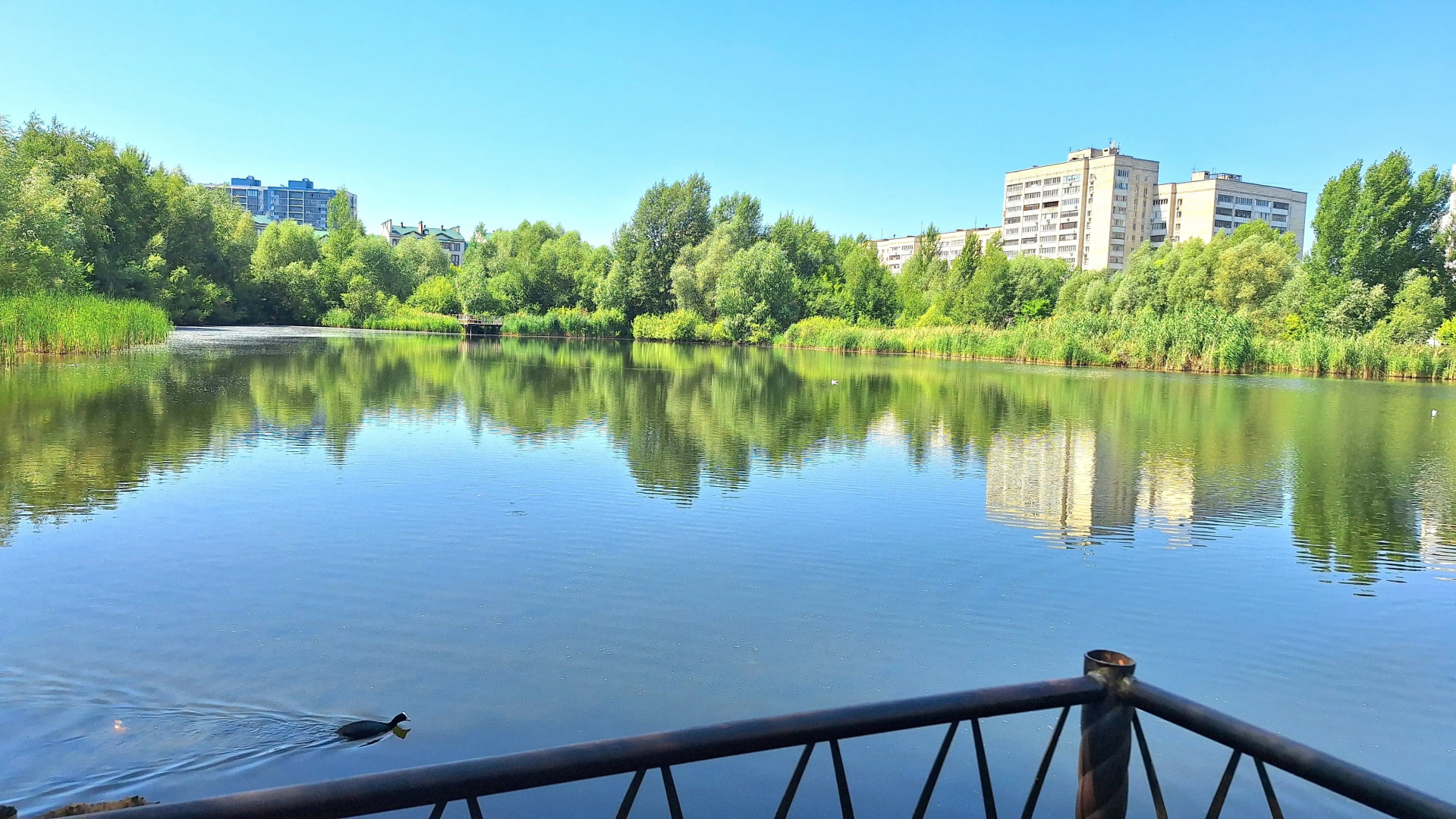 Квартира ЖК 5 Звёзд