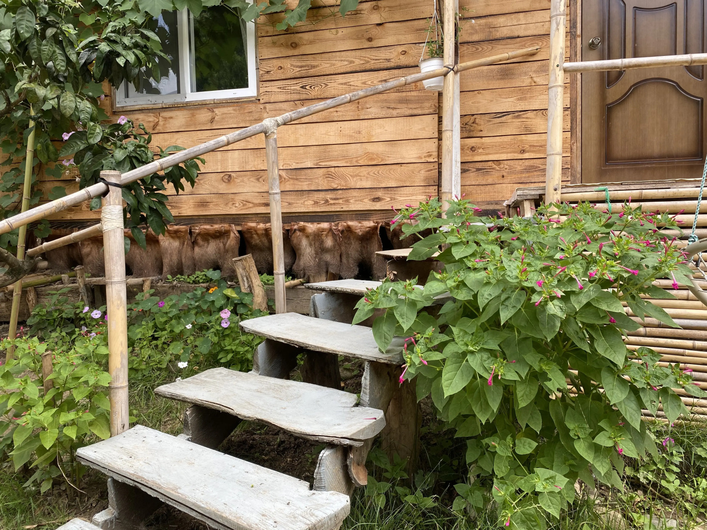 Частный дом Зелёная