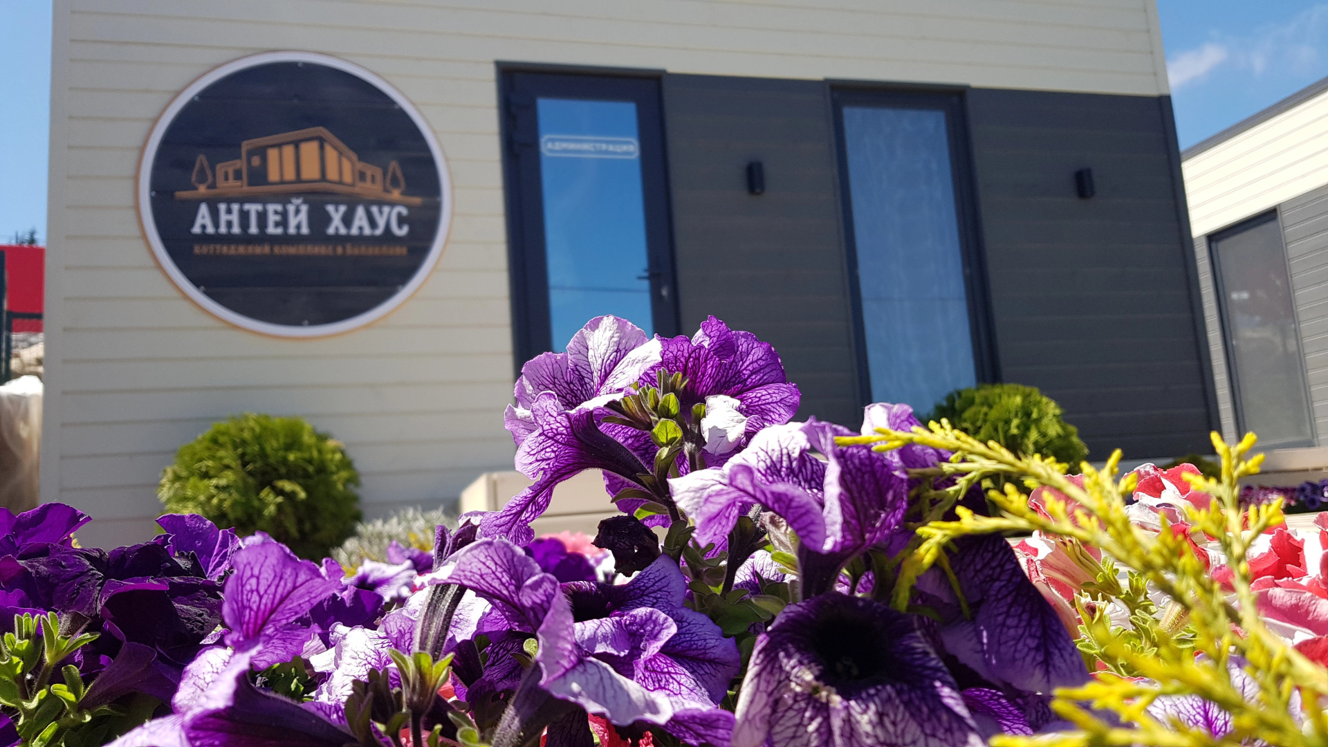 Гостевой дом Антей Хаус