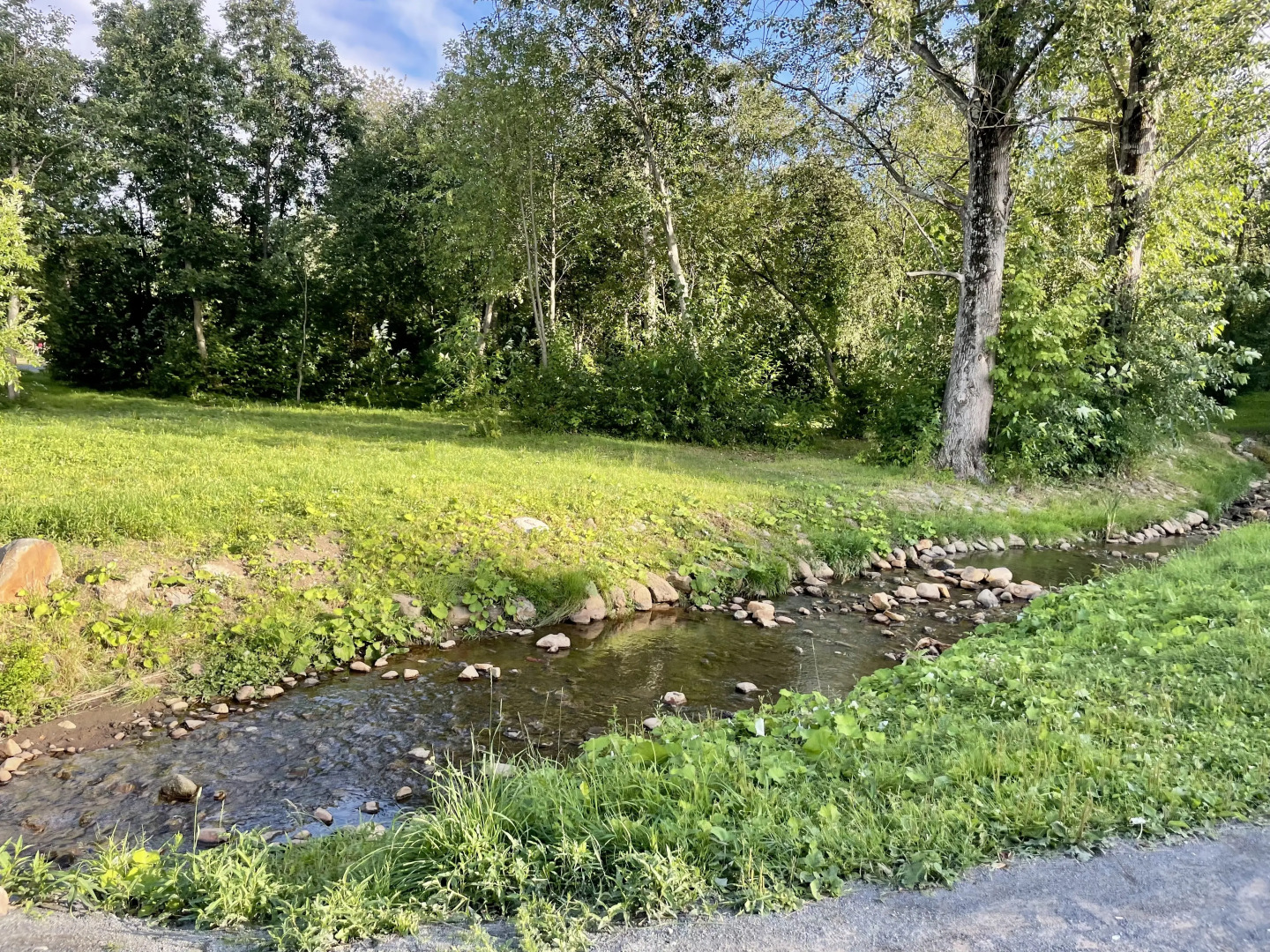 Апартаменты Ярви Комфорт