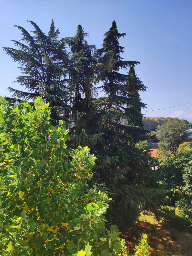 Квартира в Центре Сочи