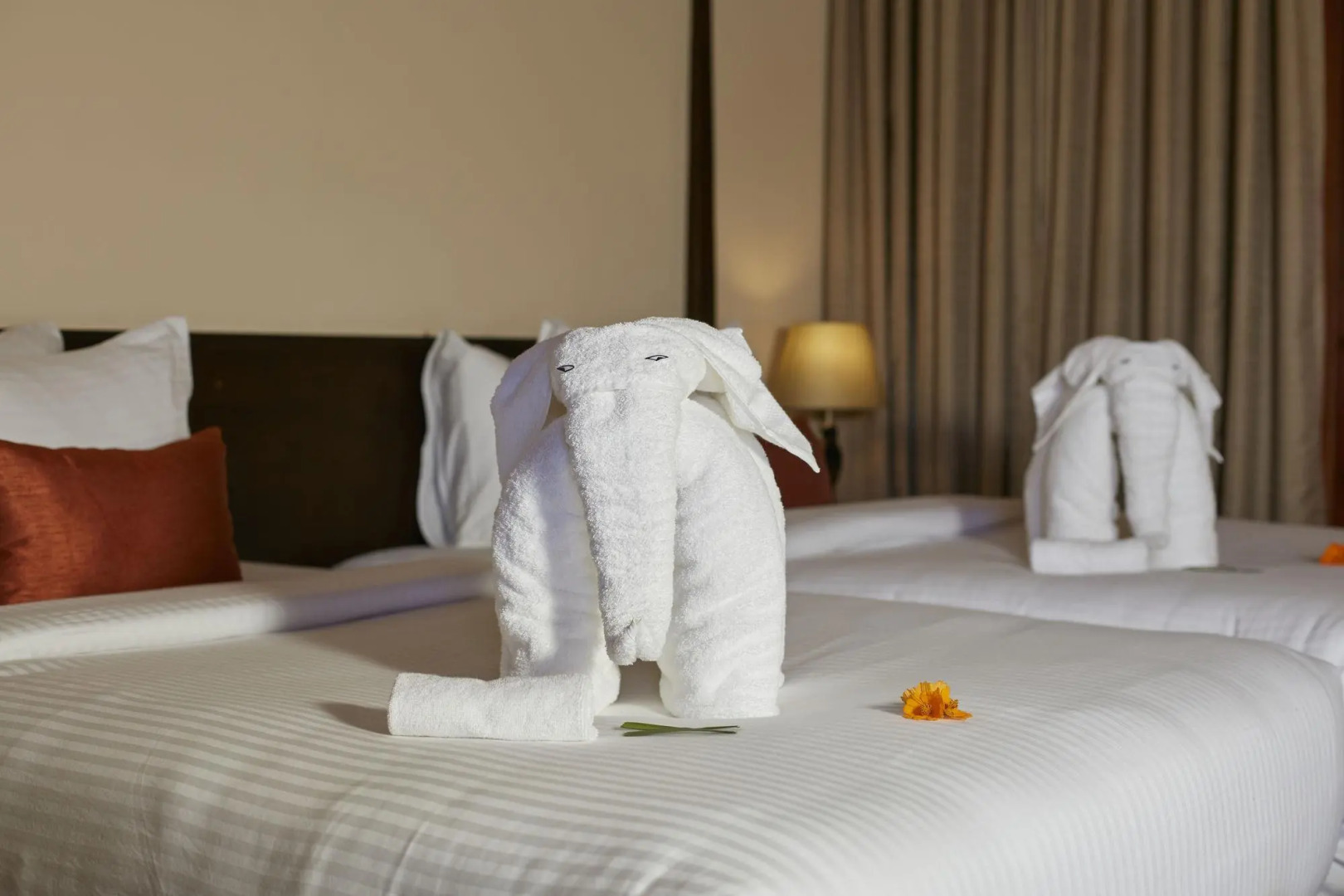 Отель Seerock The King's Domain