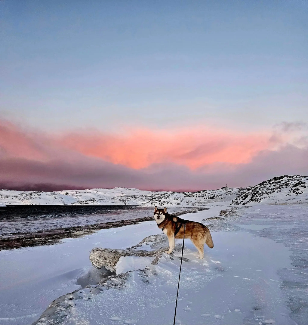 База отдыха  Normann