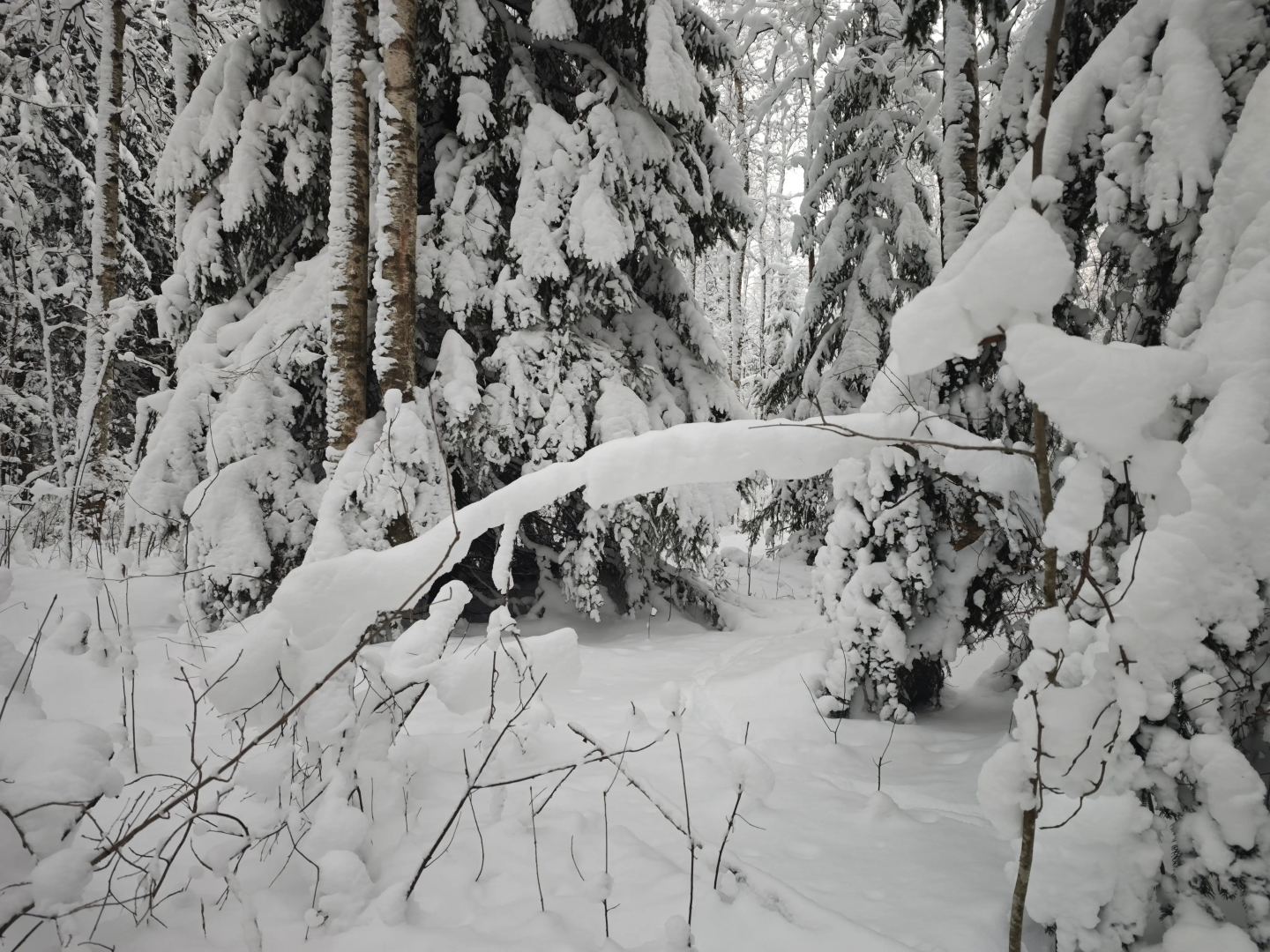 Частный дом семейный с баней