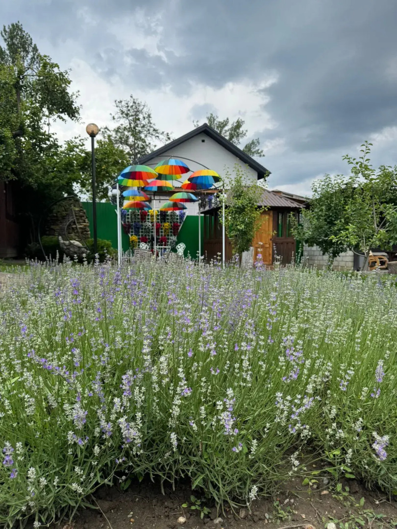 Гостевой дом Отдых у реки