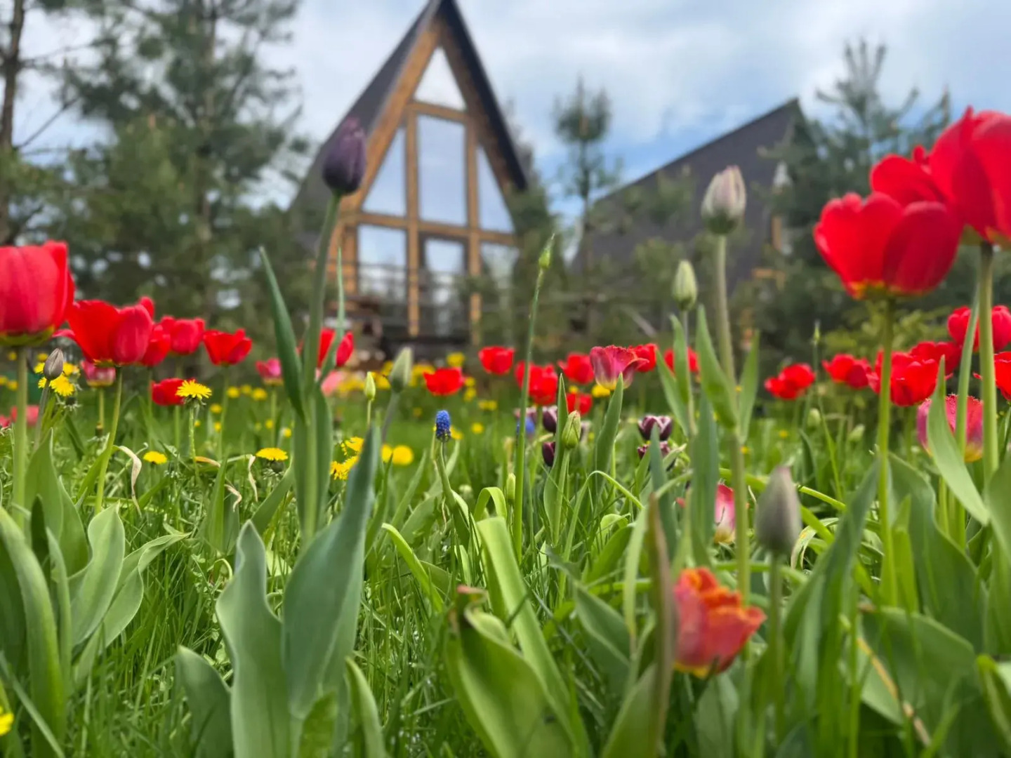 Гостевой дом Рай в шалаше