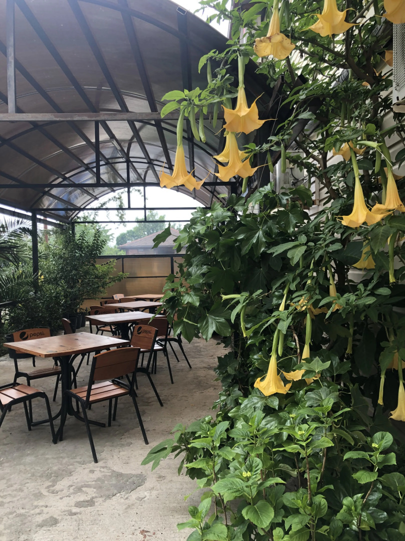 Гостевой дом Морская сказка