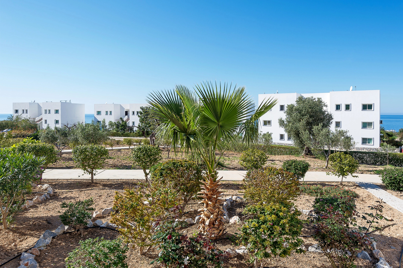 Апартаменты JOYA CYPRUS SONGBIRD GARDEN