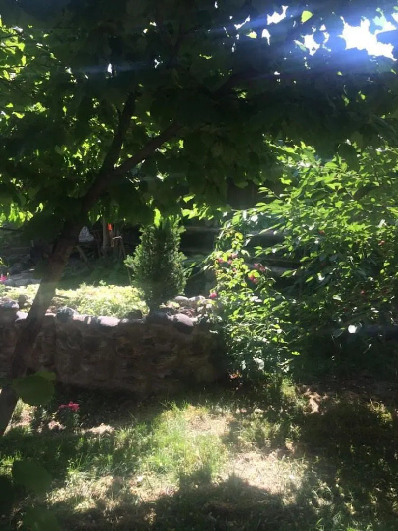 Master's House Dayan