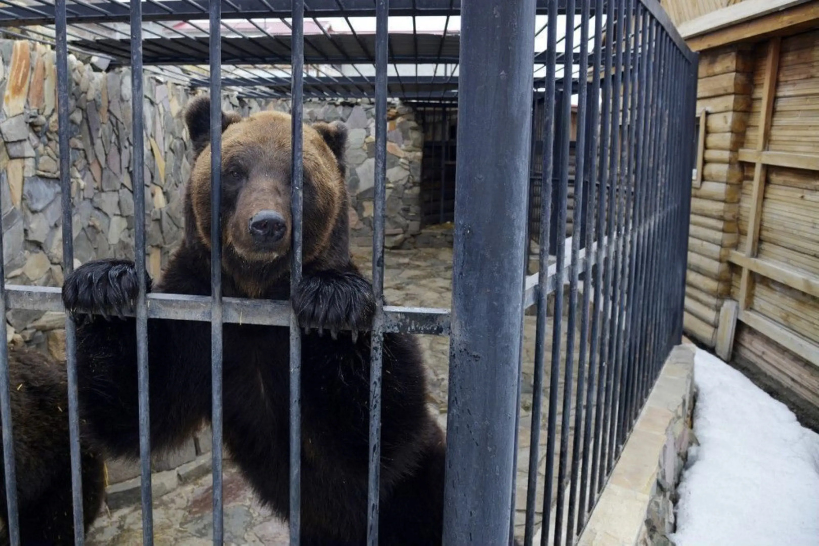 Частный Дом Ёлки 3