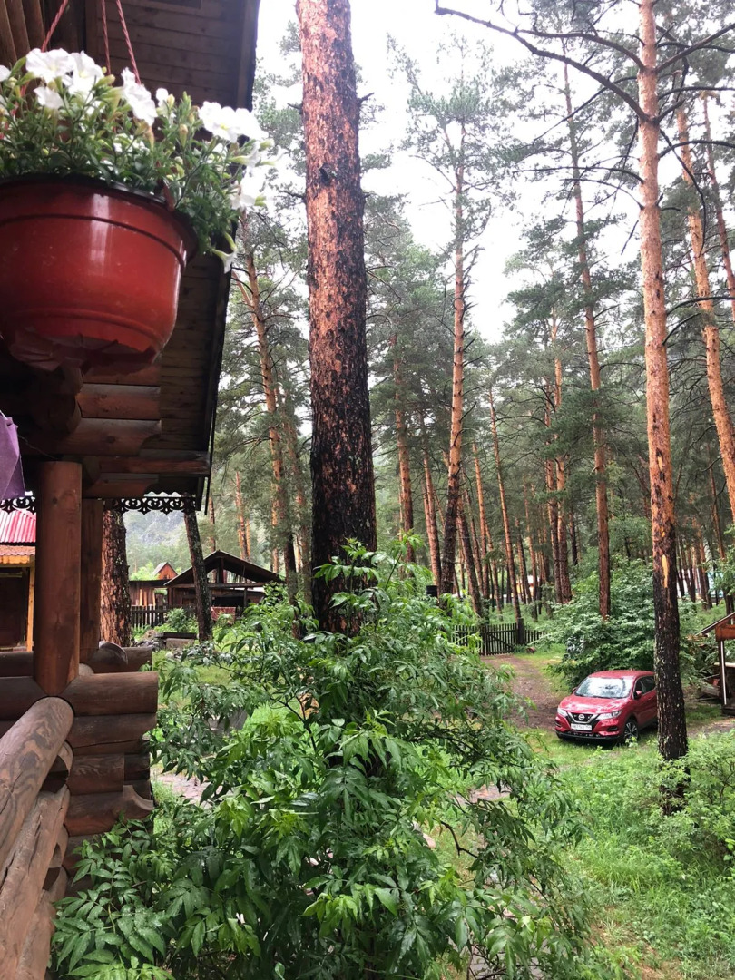 Гостевой дом Усадьба Три Медведя