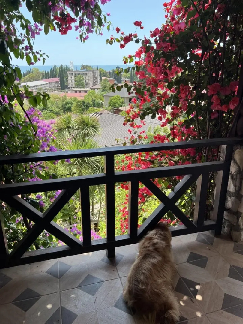 Гостевой Дом El Platano