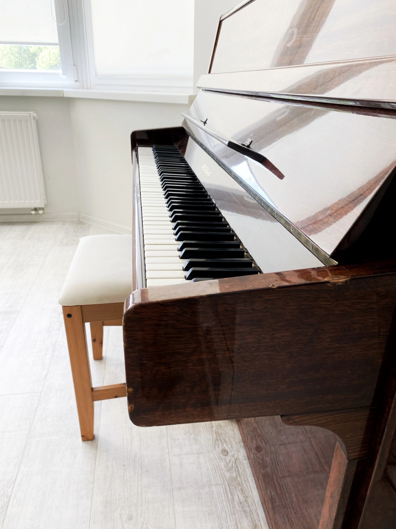 Апартаменты Turgenev Apartment in Zelenogradsk
