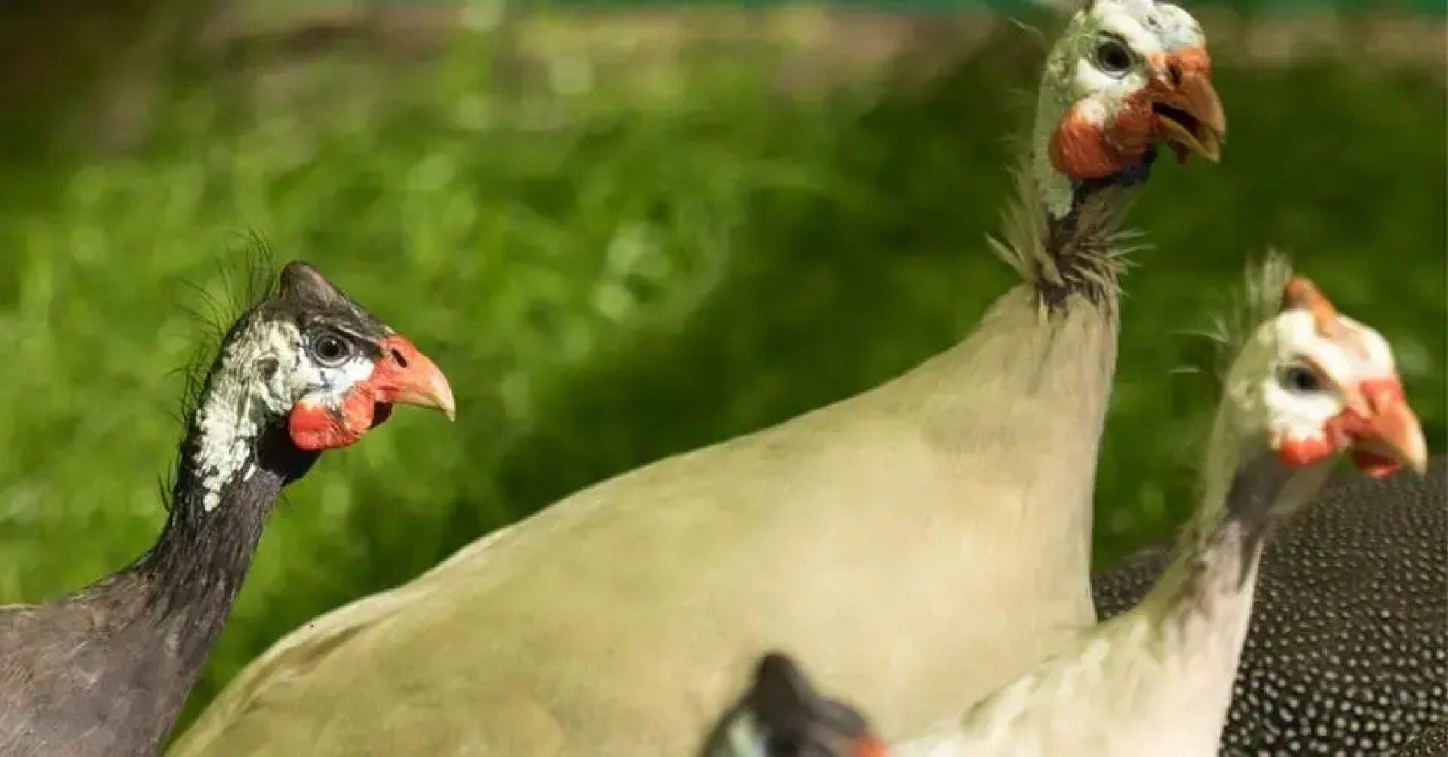 База Отдыха Арт Усадьба Веретьево