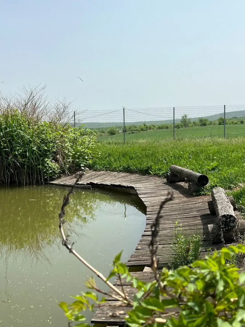 Отель Черкесский Аул