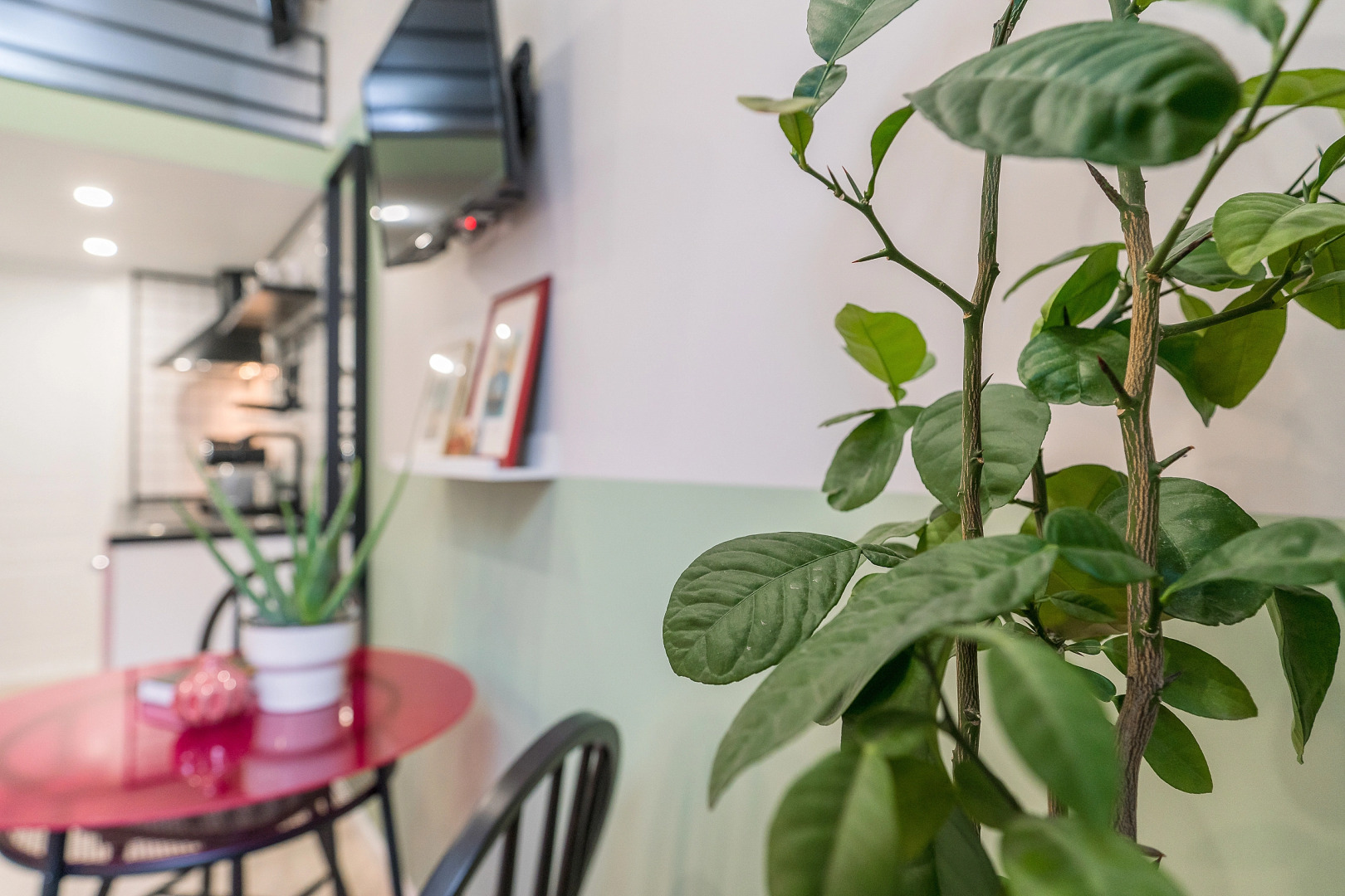 Меблированные комнаты Uppapart Моховая 43