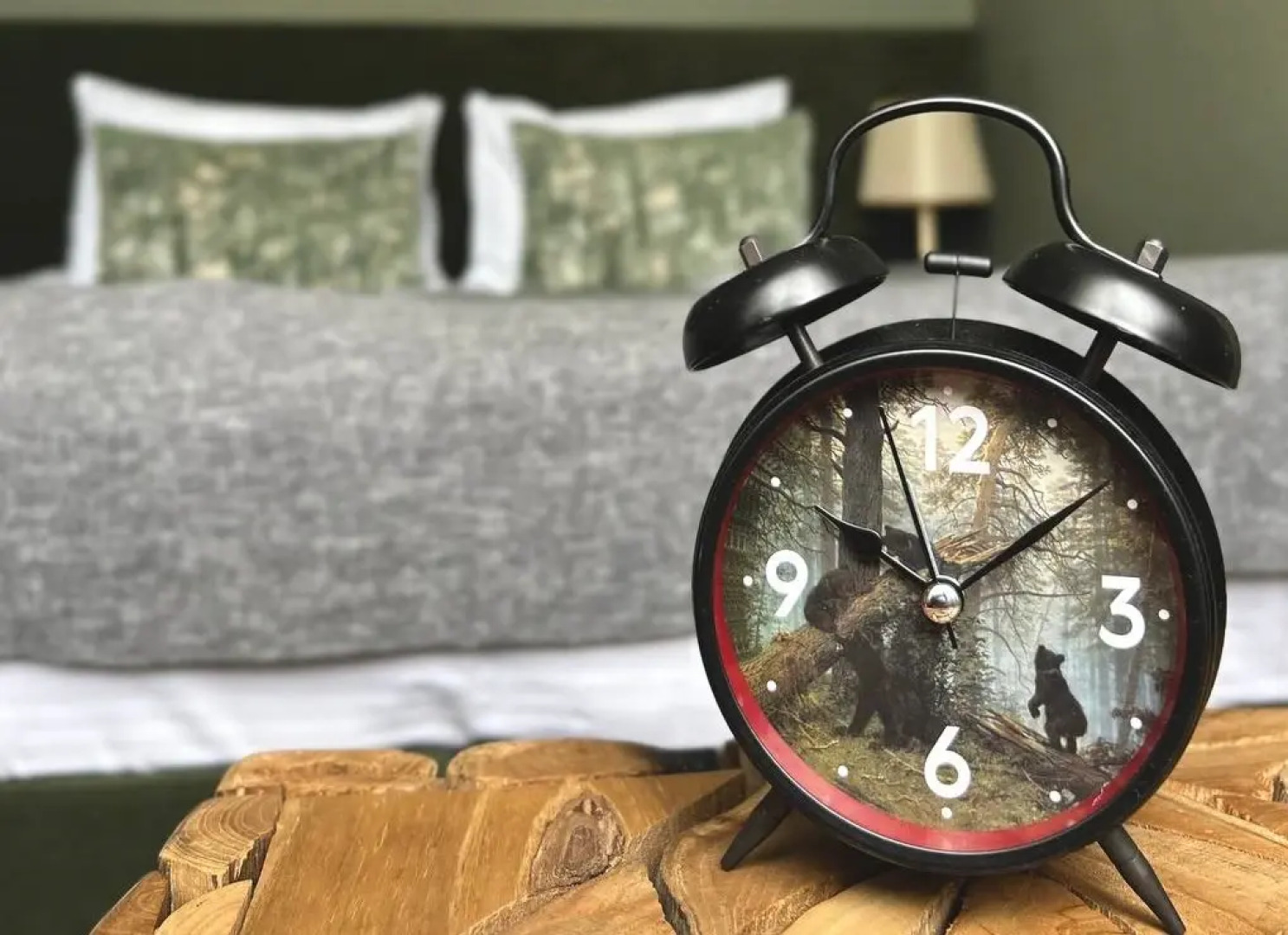 Отель Волхов