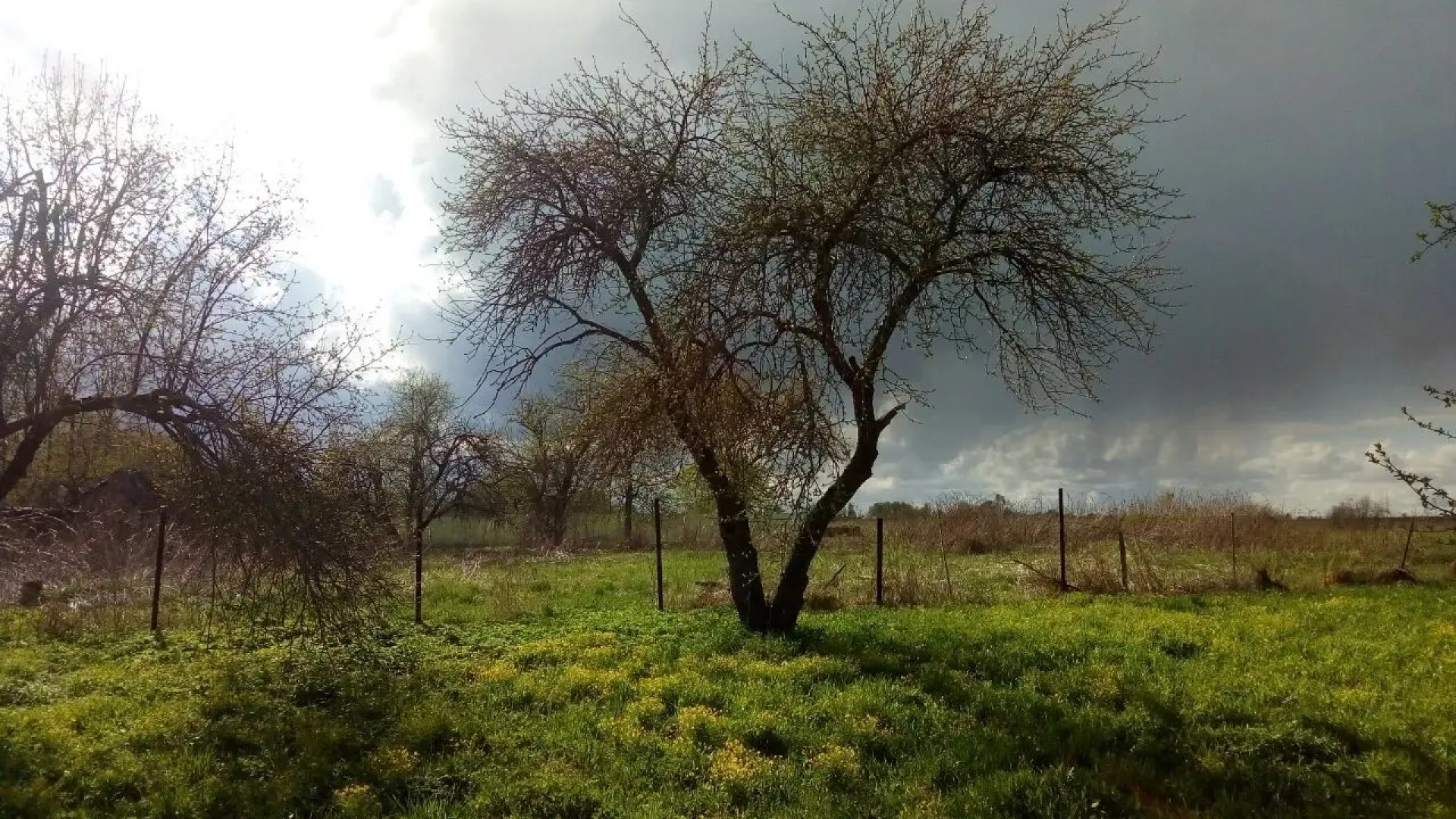 Частный Дом Эко-Коттедж Лосиное