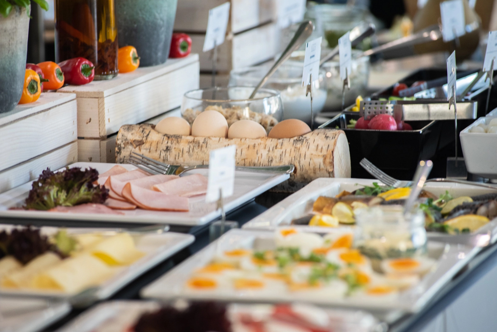 Arkon Park Business & Sport