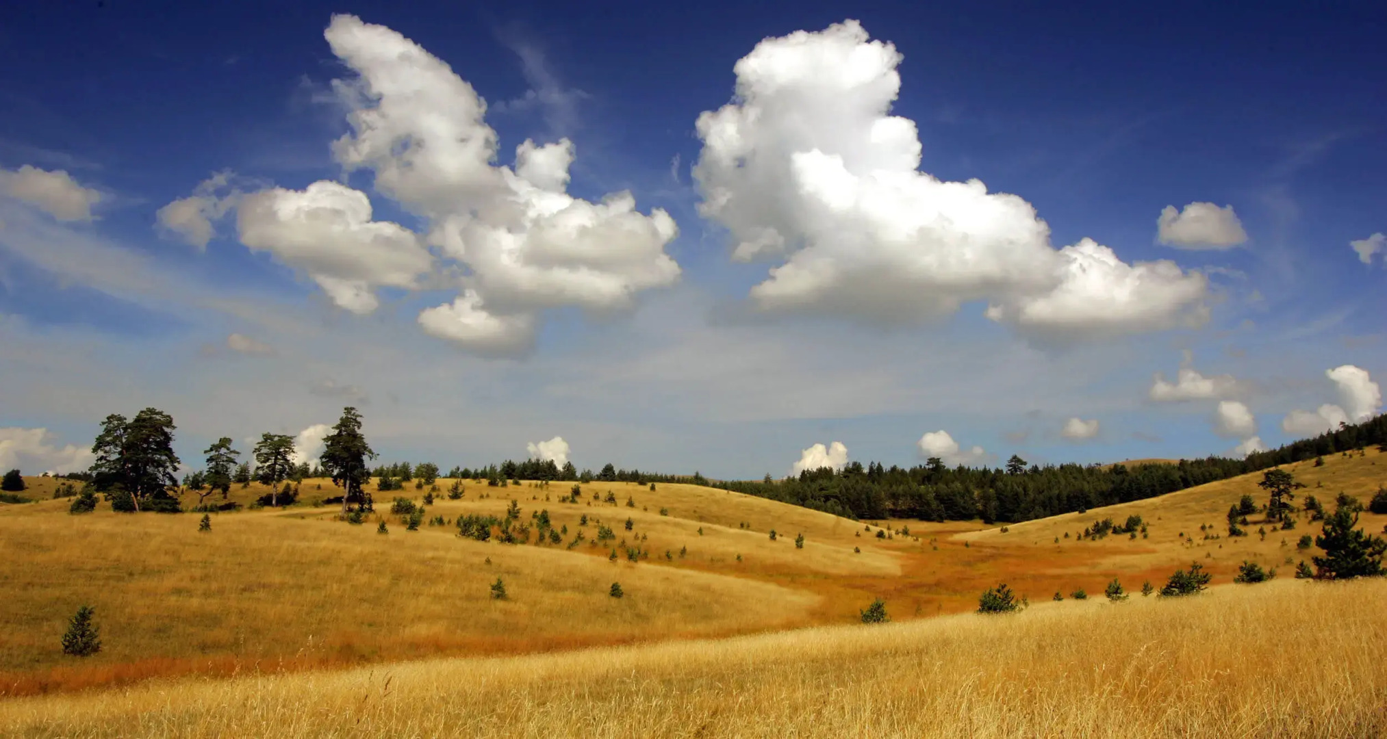 Апартаменты Egoiste