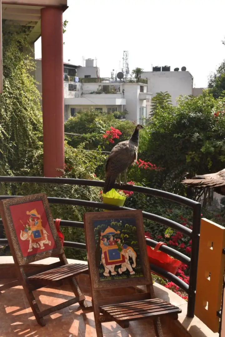 Хостел Jaipur
