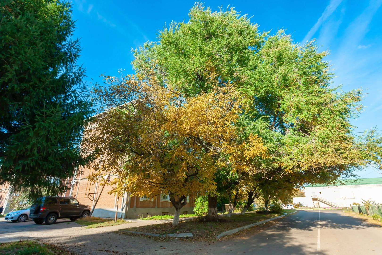 Квартира на Красноармейской 27