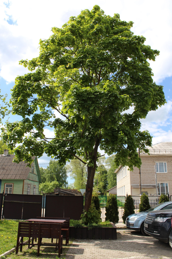 Гостиница Печоры-Парк