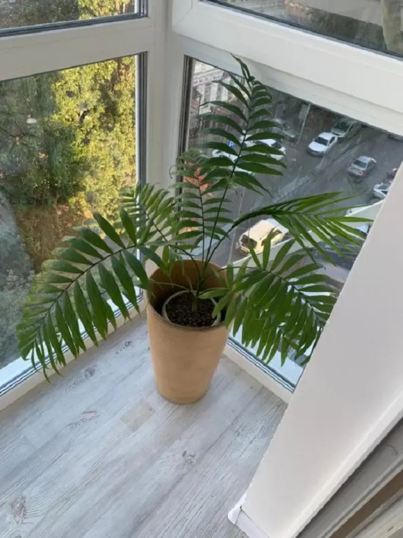 Апартаменты на Чехова