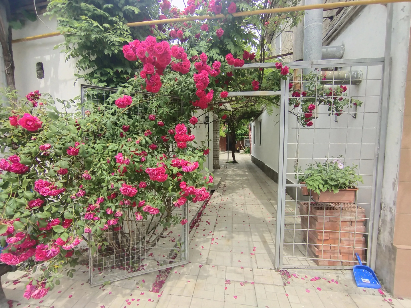 Жилое помещение Песчаная